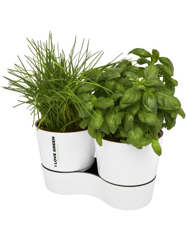 Maceta doble para cocina"Herbs"