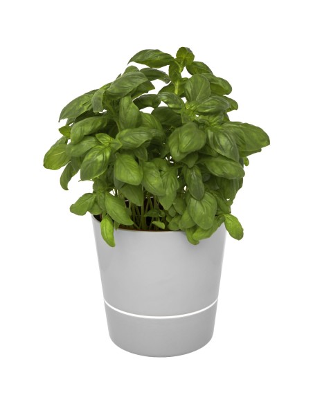 Maceta para cocina "Herbs"