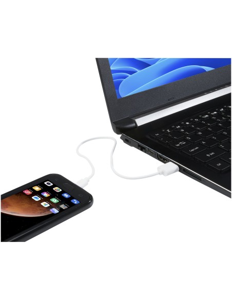 Cable USB A a tipo C de TPE 2 A