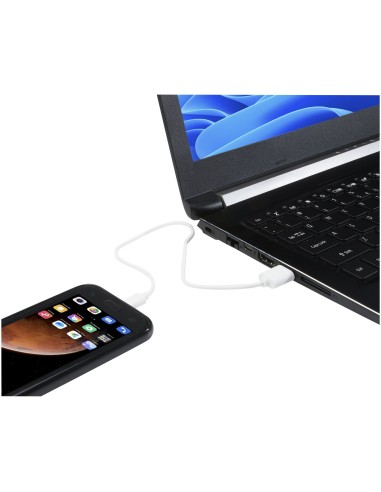 Cable USB A a micro-USB en TPE 2 A