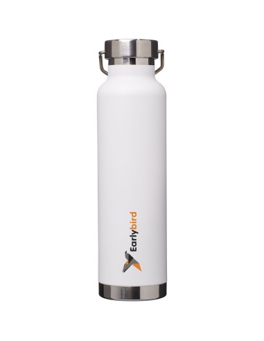 Botella de 650 ml con aislamiento de cobre al...
