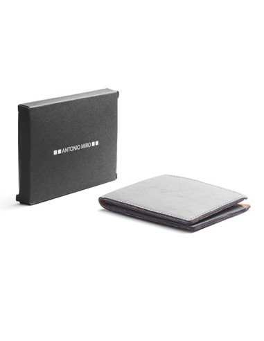 Cartera Sartil