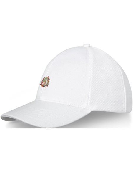 Gorra de camionero de 6 paneles "Drake"