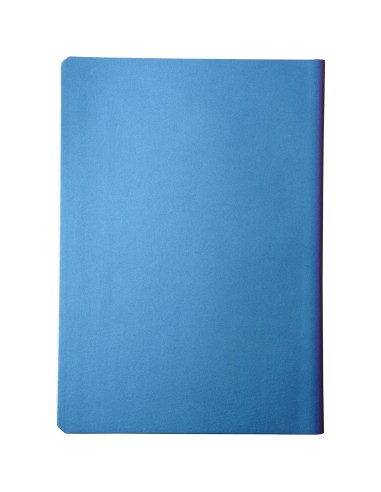 Cuaderno A5 "Chameleon"
