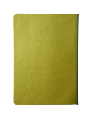 Cuaderno A5 "Chameleon"