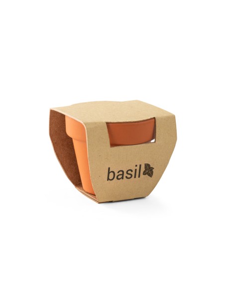 BASILI Tiesto de barro con semillas de albahaca