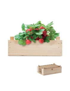 STRAWBERRY - Kit de fresas en caja madera