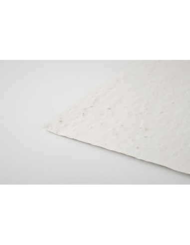 ASIDE - Hoja A5 de papel con semillas