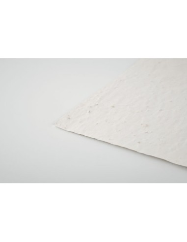 ASIDO - Hoja A6 de papel con semillas