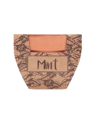 MINT POT - Maceta con semillas de menta
