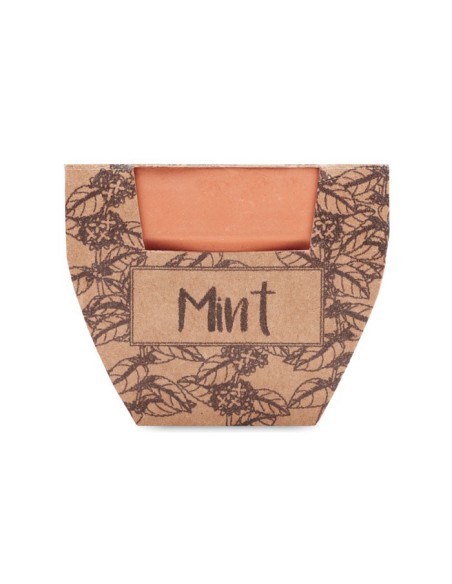 MINT POT - Maceta con semillas de menta