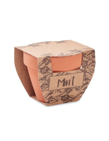 MINT POT - Maceta con semillas de menta