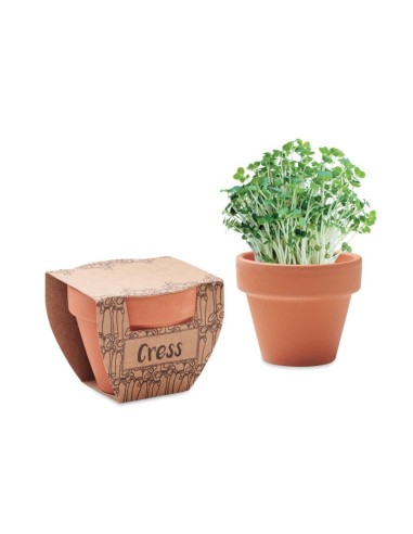 CRESS POT - Maceta con semillas de berro