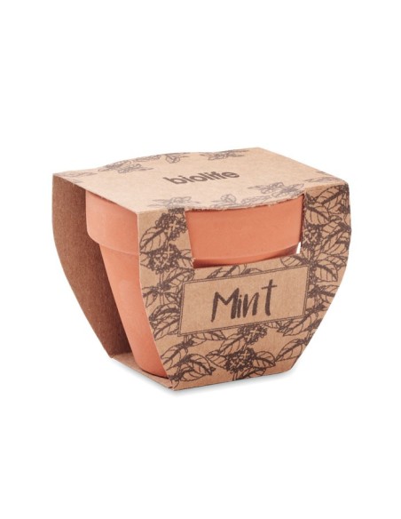 MINT POT - Maceta con semillas de menta