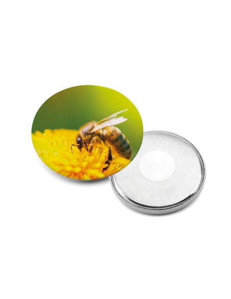 Button III Pin