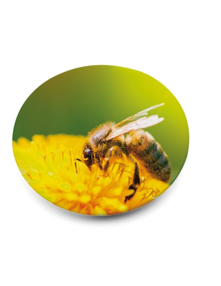 Button III Pin