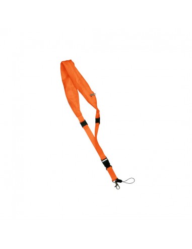 Lanyard