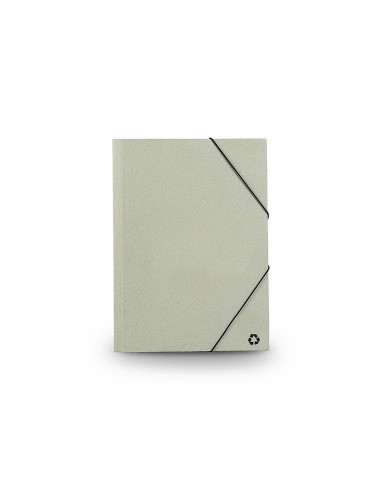 Carpeta Ecosum