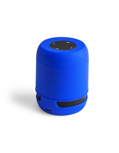 Altavoz Braiss