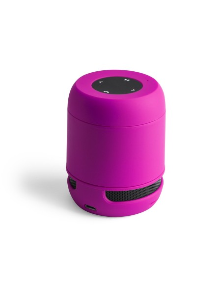 Altavoz Braiss