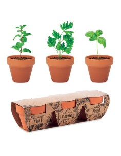 FLOWERPOT - Juego de macetas de terracota