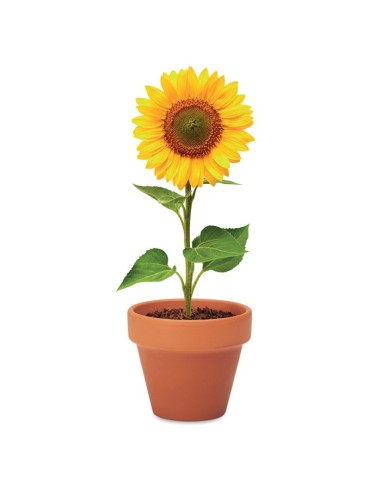 SUNFLOWER - Juego de macetas de terracota