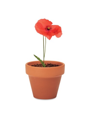 RED POPPY - Juego de macetas de terracota