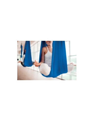 AERIAL YOGI