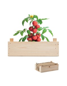 TOMATO - Mini-huerto tomates en caja