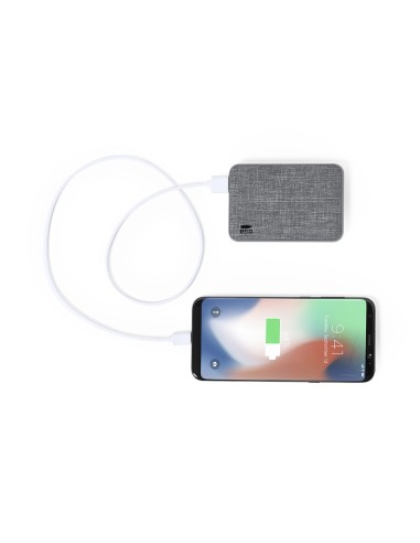 Power Bank Reycon