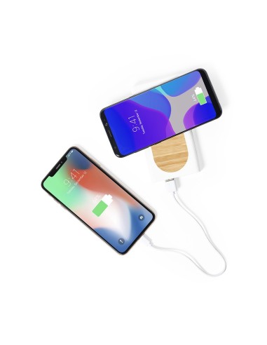 Power Bank Ditte
