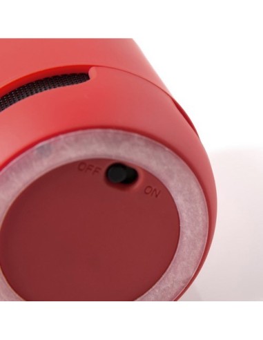 Altavoz Braiss
