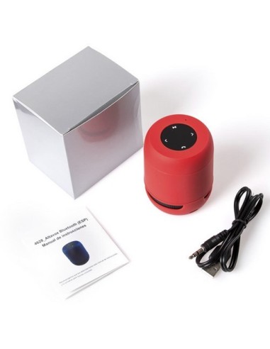 Altavoz Braiss