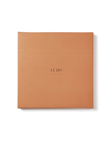 VINGA Juego de mesa Ludo