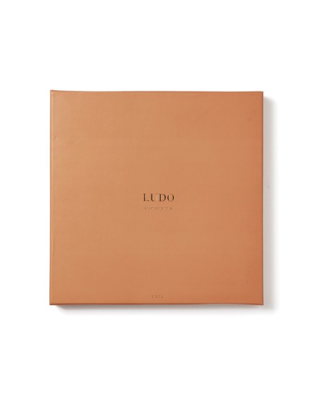 VINGA Juego de mesa Ludo