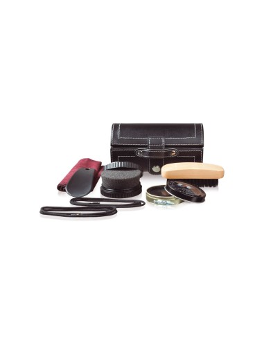 Set esencial limpieza zapatos