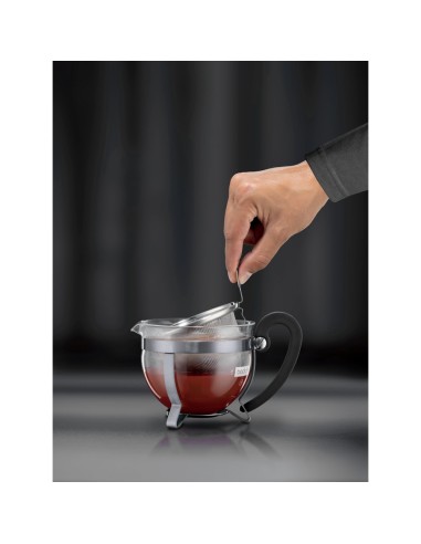 CHAMBORD TEA Hervidor 500ml