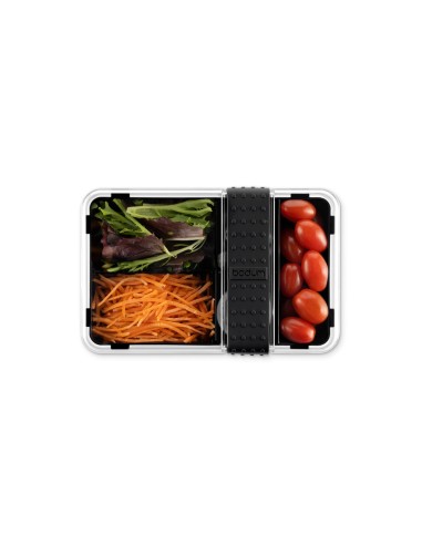 BISTRO LUNCH BOX Fiambrera en plastico y silicona